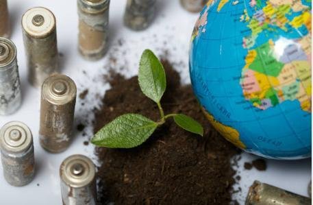 Gambar tersebut menunjukkan tanaman kecil yang tumbuh di tanah di samping bola dunia, dikelilingi baterai bekas.