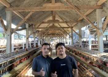 Screenshot 20260429 132445