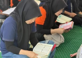 WhatsApp Image 2026 04 01 at 13.28.28