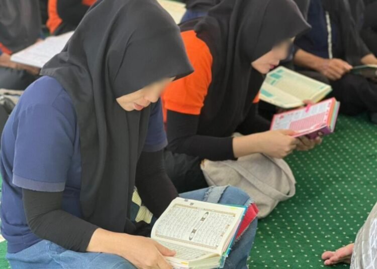 WhatsApp Image 2026 04 01 at 13.28.28