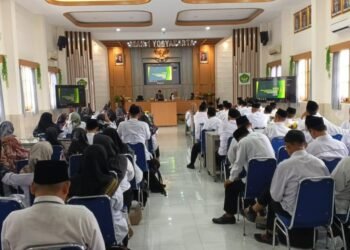 WhatsApp Image 2026 04 07 at 15.31.29