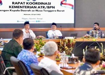 WhatsApp Image 2026 04 11 at 19.36.06