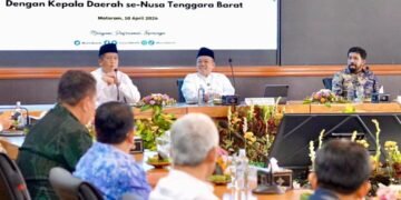 WhatsApp Image 2026 04 11 at 19.36.06