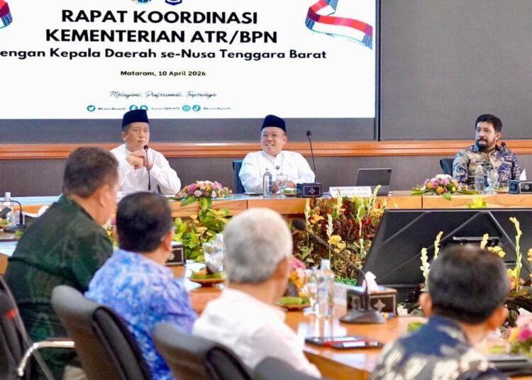 WhatsApp Image 2026 04 11 at 19.36.06