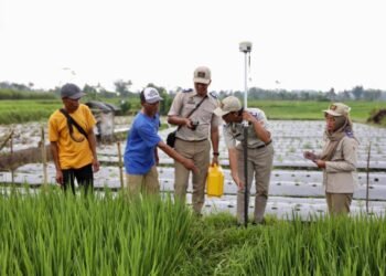 WhatsApp Image 2026 04 16 at 15.35.38