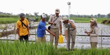 WhatsApp Image 2026 04 16 at 15.35.38