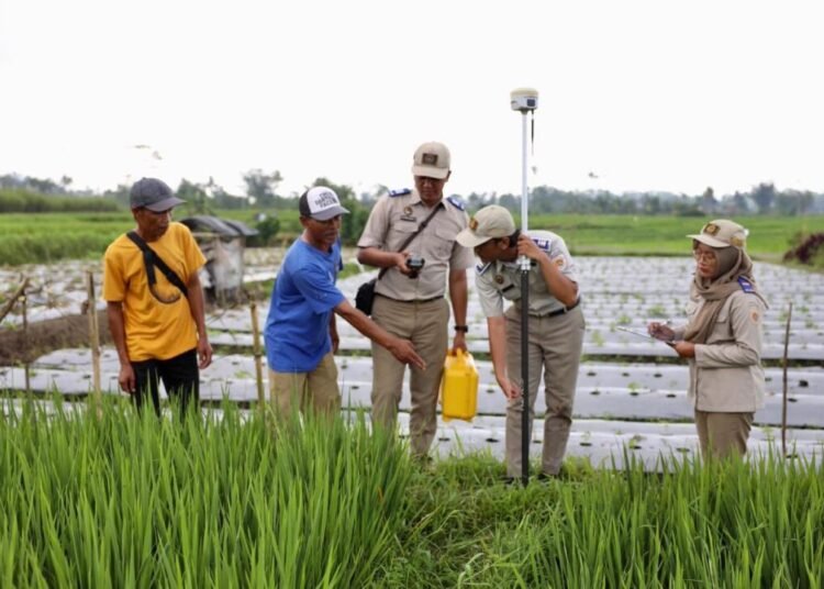 WhatsApp Image 2026 04 16 at 15.35.38