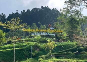 WhatsApp Image 2026 04 17 at 20.06.12