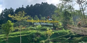 WhatsApp Image 2026 04 17 at 20.06.12