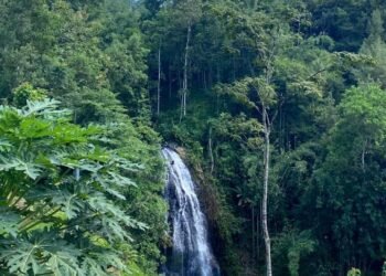 WhatsApp Image 2026 04 19 at 12.59.10