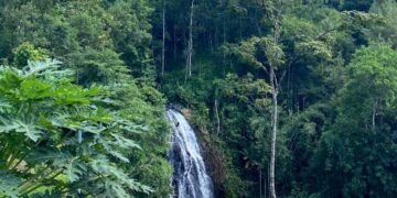 WhatsApp Image 2026 04 19 at 12.59.10