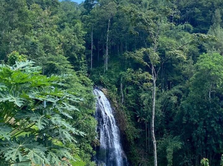 WhatsApp Image 2026 04 19 at 12.59.10