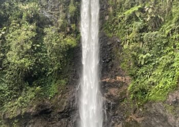 sumber: Naely Keindahan Curug Pengantin di Kawasan hutan dengan suasana asri dan sejuk