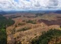 Hutan vs Deforestasi: Antara Keuntungan Jangka Pendek dan Keberlanjutan Ekologi Masa Depan 47 images 1