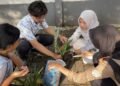 Mahasiswa Laksanakan Proyek SDGs Tema 13 melalui Penanaman Lidah Mertua di Area Kantin FISMART 51 1000096304
