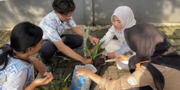 Mahasiswa Laksanakan Proyek SDGs Tema 13 melalui Penanaman Lidah Mertua di Area Kantin FISMART 56 1000096304