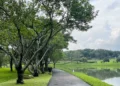 Ketika ruang hijau terus berkurang, yang sebenarnya sedang dipertaruhkan adalah masa depan manusia sendiri.