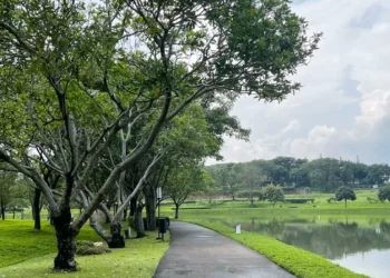 Ketika ruang hijau terus berkurang, yang sebenarnya sedang dipertaruhkan adalah masa depan manusia sendiri.