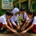 Anak-anak Sekolah Dasar sedang menanam pohon di lingkungan sekolah sebagai bentuk kepedulian terhadap alam dan penghijauan lingkungan. (Sumber: Dokumentasi Pribadi)