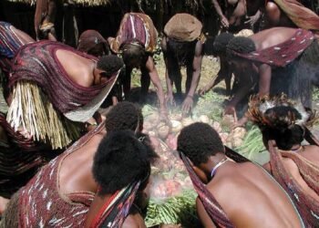 Masyarakat adat Papua melaksanakan ritual bakar batu di Lembah Baliem. Di balik prosesi memasak komunal ini tersimpan sistem hukum dan ikatan sosial yang telah hidup berabad-abad. (Foto: Paul/Wikimedia Commons)