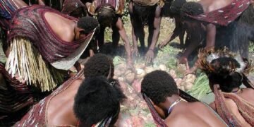 Masyarakat adat Papua melaksanakan ritual bakar batu di Lembah Baliem. Di balik prosesi memasak komunal ini tersimpan sistem hukum dan ikatan sosial yang telah hidup berabad-abad. (Foto: Paul/Wikimedia Commons)