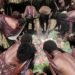 Di Balik Asap Bakar Batu, Ada Hukum yang Hidup 56 Masyarakat adat Papua melaksanakan ritual bakar batu di Lembah Baliem. Di balik prosesi memasak komunal ini tersimpan sistem hukum dan ikatan sosial yang telah hidup berabad-abad. (Foto: Paul/Wikimedia Commons)