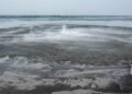 IMG 20260503 WA0005