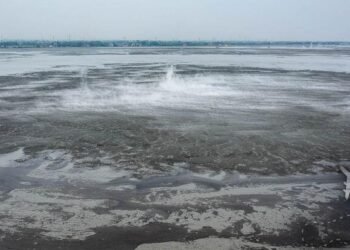 IMG 20260503 WA0005