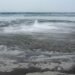 IMG 20260503 WA0005
