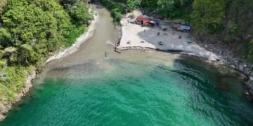 IMG 20260506 WA00351