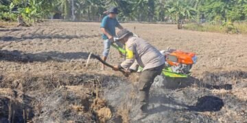 Polri Dukung Ketahanan Pangan, Polsek Siak Kecil Bersama Warga melakukan Pengolahan tanah di Lahan yang akan ditanami Jagung di Sadar Jaya 28 IMG 20260510 WA0032