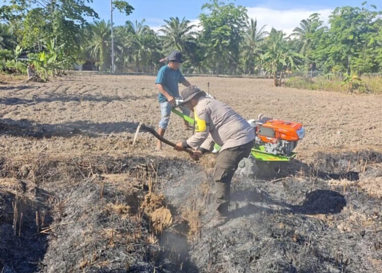 Polri Dukung Ketahanan Pangan, Polsek Siak Kecil Bersama Warga melakukan Pengolahan tanah di Lahan yang akan ditanami Jagung di Sadar Jaya 46 IMG 20260510 WA0032