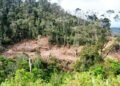Penggundulan Hutan di Takengon, Aceh Tengah 49 IMG 20260514 WA00671