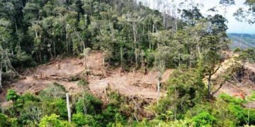 IMG 20260514 WA00671