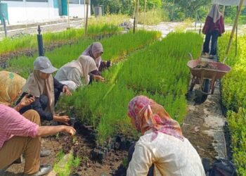 Kajian Geografi Penduduk terhadap Kesempatan Kerja di Persemaian Permanen BPDAS Serayu Opak Progo 46 IMG 20260521 WA0009
