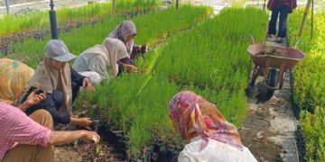 Kajian Geografi Penduduk terhadap Kesempatan Kerja di Persemaian Permanen BPDAS Serayu Opak Progo 28 IMG 20260521 WA0009