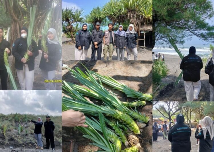 Mahasiswa Ilmu Komunikasi UNY Melakukan Tanam Pohon Pandan di Bantul sebagai Wujud Dukungan terhadap SDGs 13, 14, dan 17 46 IMG 20260528 WA0037
