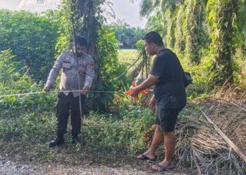 Polri Dukung Ketahanan Pangan, Polsek Siak Kecil Bersama Petani melaksanakan pengukuran tanah yang akan ditanami Jagung di Sungai Siput 46 IMG 20260528 WA0048