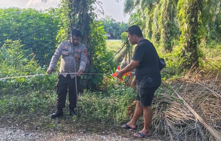 Polri Dukung Ketahanan Pangan, Polsek Siak Kecil Bersama Petani melaksanakan pengukuran tanah yang akan ditanami Jagung di Sungai Siput 46 IMG 20260528 WA0048