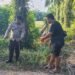 Polri Dukung Ketahanan Pangan, Polsek Siak Kecil Bersama Petani melaksanakan pengukuran tanah yang akan ditanami Jagung di Sungai Siput 51 IMG 20260528 WA0048