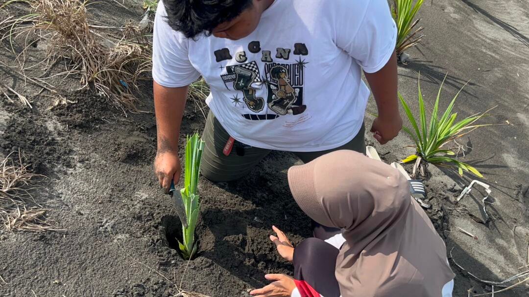 Wujud Kepedulian Lingkungan, Mahasiswa UNY Tanam Pandan Laut Bersama Yayasan Aksi Konservasi Yogyakarta 47 IMG 20260531 WA0056 1