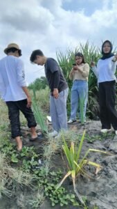IMG 20260531 WA0070