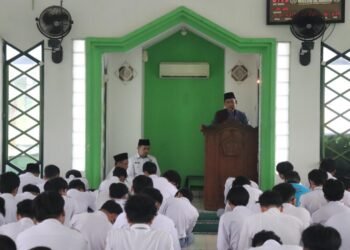 IMG 0886