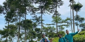 Praktikum Budidaya Teh Jolotigo