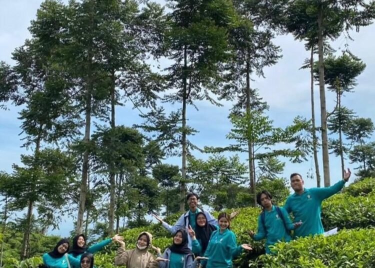 Praktikum Budidaya Teh Jolotigo