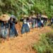 Suku Baduy di Tengah Gempuran Digital: Menjaga Adat di Era Media Sosial 59 MAsyarakat Adat baduy