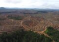 Kedudukan Hukum Adat dalam Penyelesaian Konflik Agraria Adat Dayak 63 Alih fungsi lahan dalam skala besar kerap memicu konflik agraria serta mengancam ruang hidup masyarakat adat di Kalimantan. (Foto: Save Our Borneo).