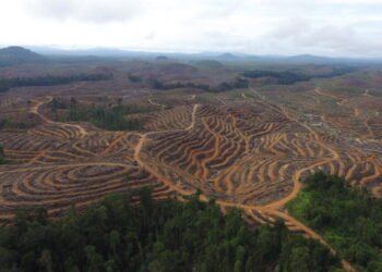 Alih fungsi lahan dalam skala besar kerap memicu konflik agraria serta mengancam ruang hidup masyarakat adat di Kalimantan. (Foto: Save Our Borneo).