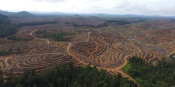 Alih fungsi lahan dalam skala besar kerap memicu konflik agraria serta mengancam ruang hidup masyarakat adat di Kalimantan. (Foto: Save Our Borneo).