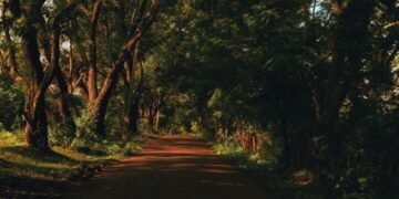 Ilustrasi gambar jalan yang rindang dan sepi di sore hari menjelang malam (Sumber: Dock pribadi)